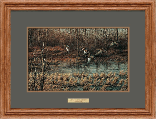 Apple River Mallards Oak Framed